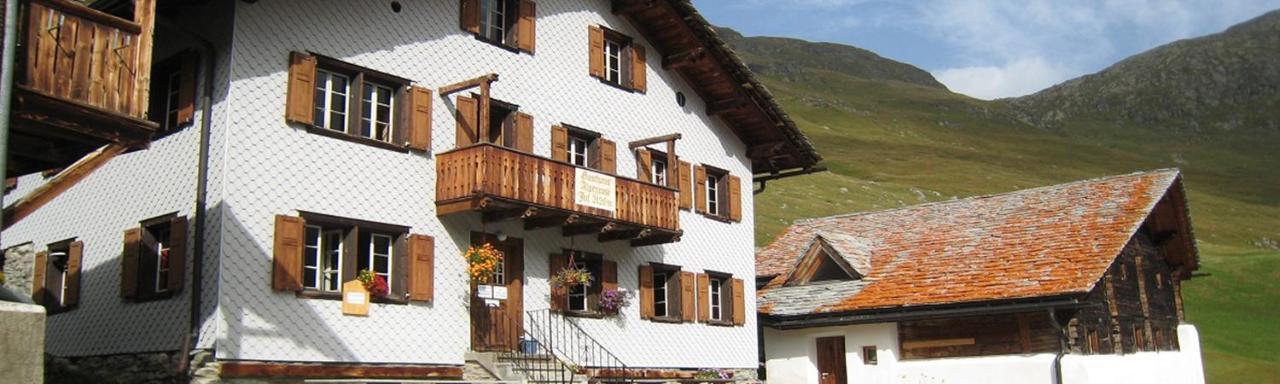 Gasthaus Alpenrose Juf 호텔 외부 사진